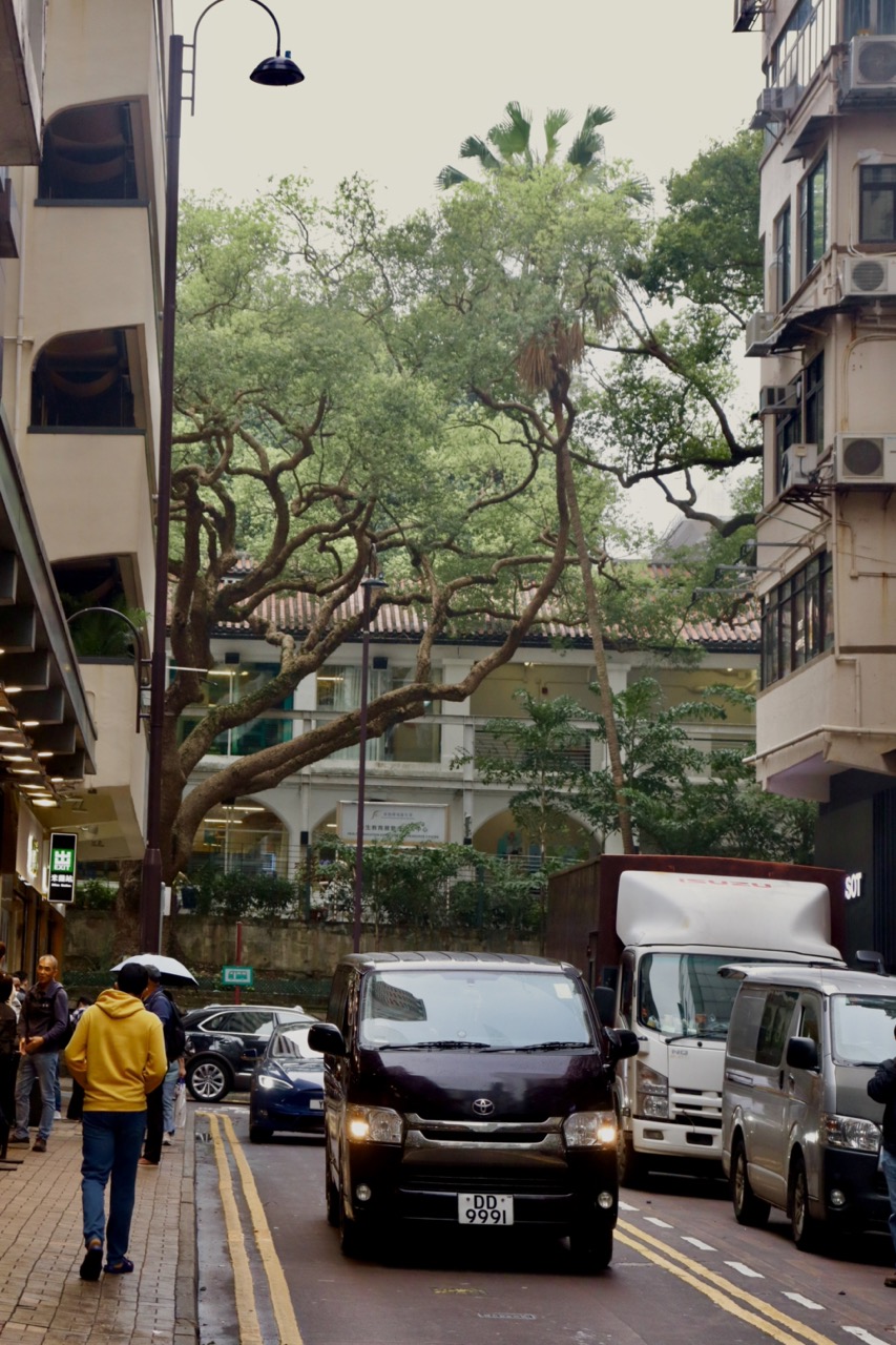 Tsim Sha Tsui